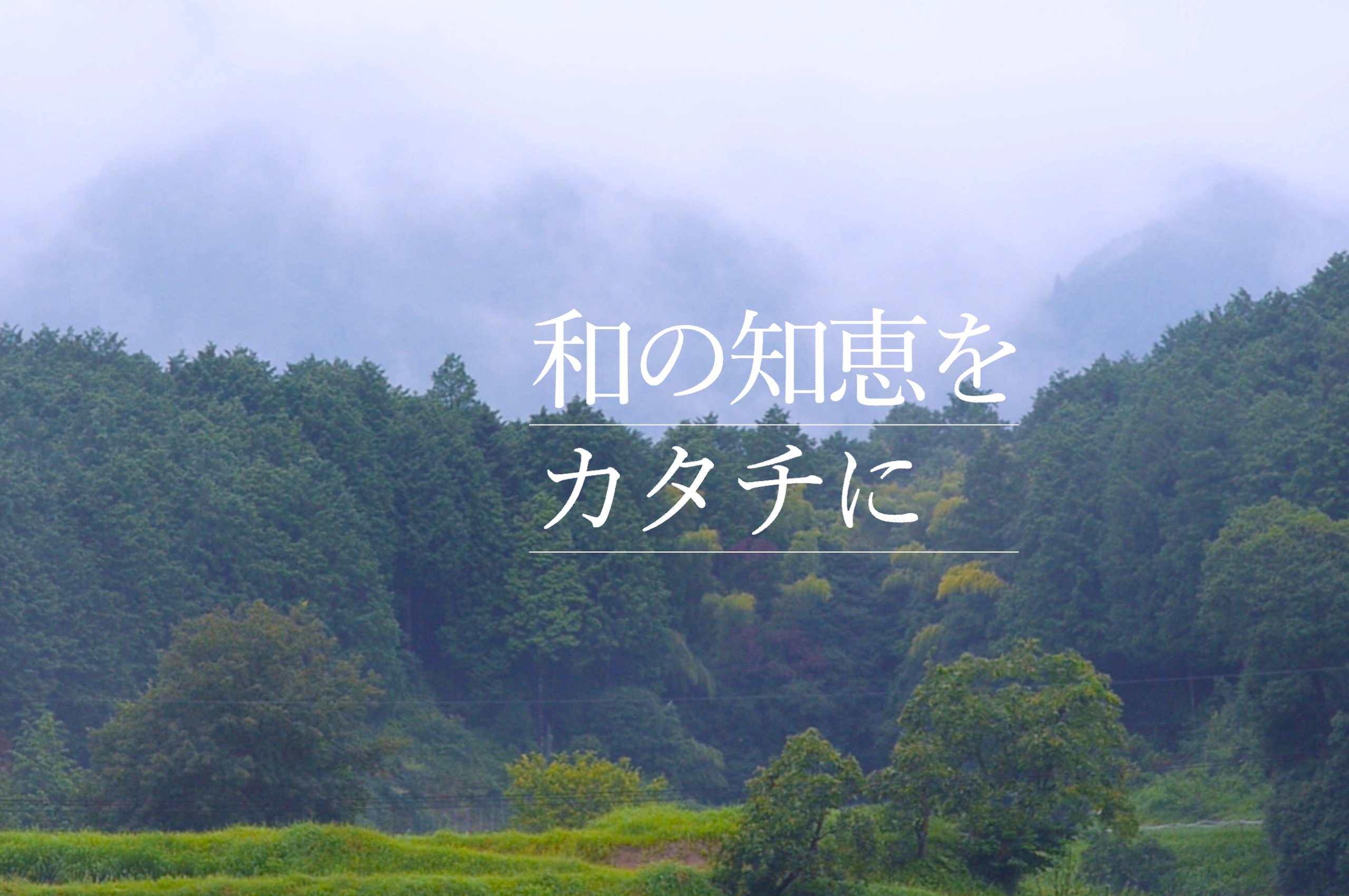 img01.png